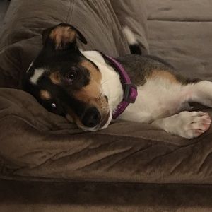 Meet your Posher, Chanya